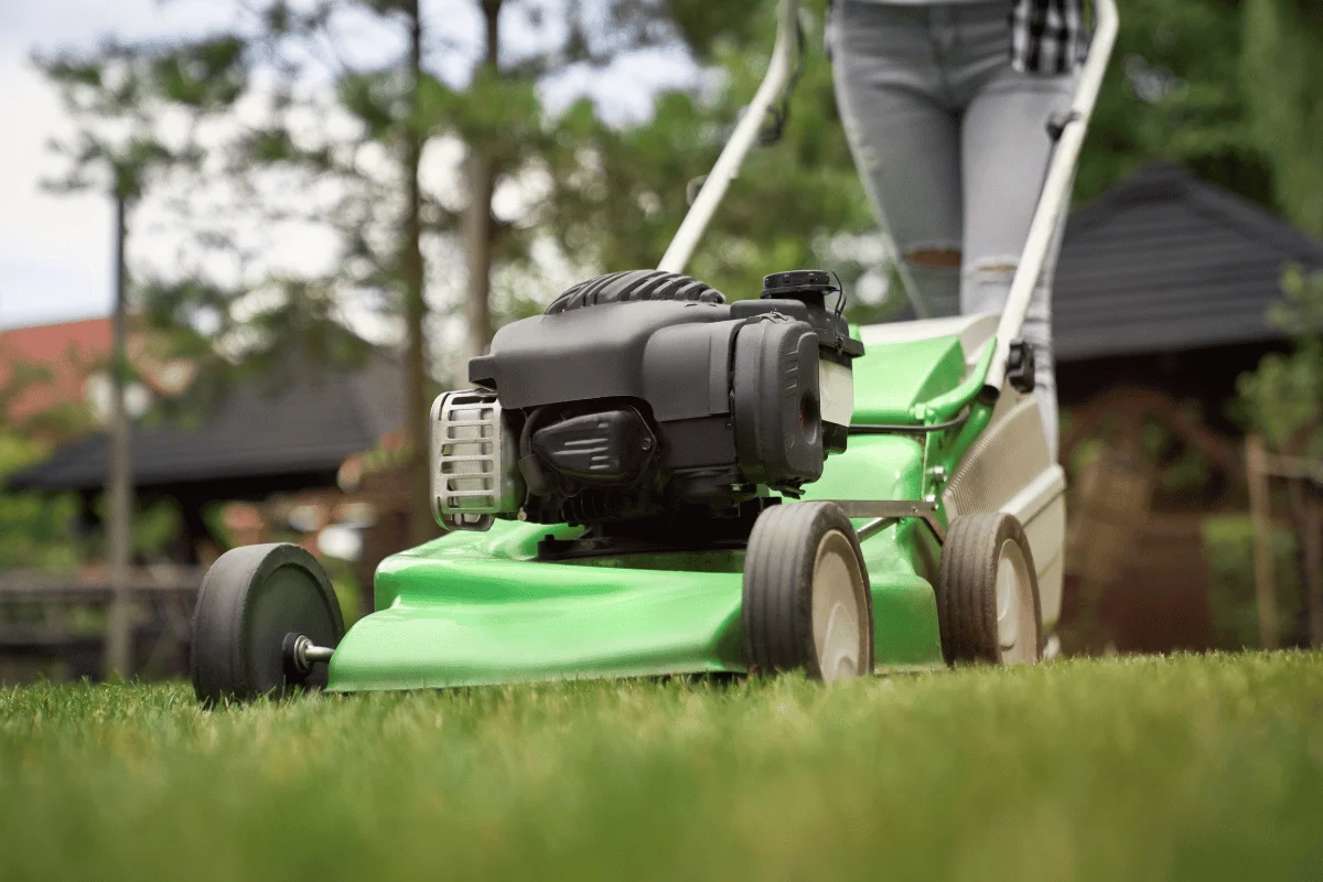 Lawn Mowing-images